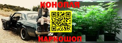 spice Донецк