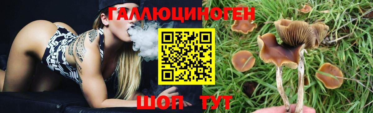Псилоцибиновые грибы Magic Shrooms Шелехов