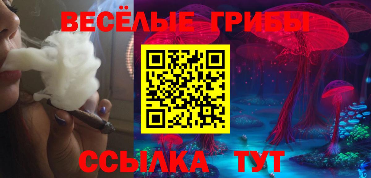 купить закладку  Псилоцибиновые грибы ЛСД  Вход с VPN  Шелехов 